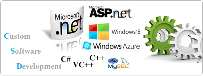 Custom Software Development Services in Pune Mumbai India