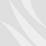 
Windows 10 for business